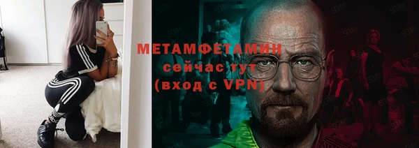 молекула духа Вяземский