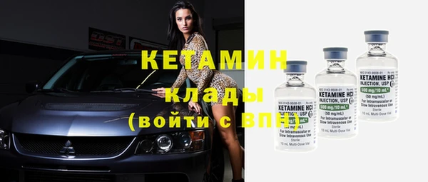 молекула духа Вяземский