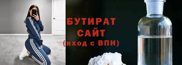молекула духа Вяземский