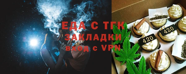 молекула духа Вяземский