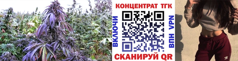 Дистиллят ТГК жижа  Камбарка 