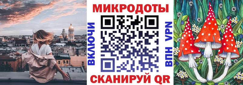 Псилоцибиновые грибы MAGIC MUSHROOMS  купить закладку  Камбарка 